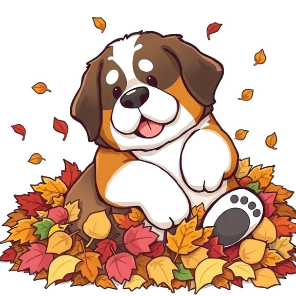 About Saintbernard.Love